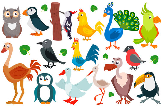 Set of cute cartoon birds. Vector flat illustration.