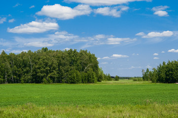 green field and blue sky with clouds