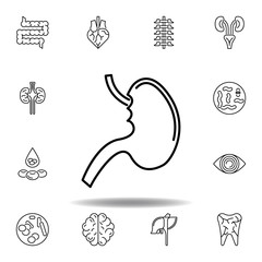 set of human organs stomach outline icon. Signs and symbols can be used for web, logo, mobile app, UI, UX