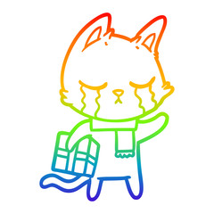 rainbow gradient line drawing crying cartoon cat holding christmas present