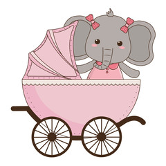 Isolated baby elephant cartoon design