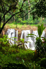 Pure waterfall in a ravine in rain season.