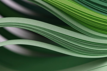 Abstract gradient green color wave curl strip paper background. Template for prints, posters, cards.