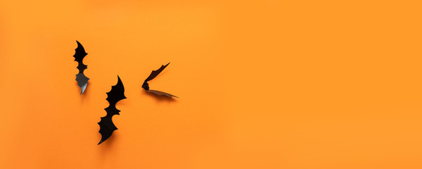 Creative top view halloween composition of black paper bats fly up on an orange background