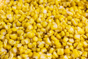 Corn grains close-up, top view