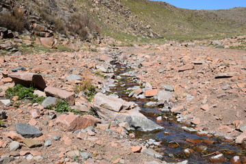 Near the Uybat river.Khakassia.