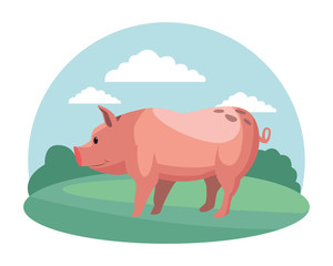 farm, animals and farmer cartoon