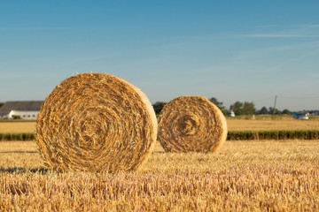 Strohrollen auf dem Feld, heuballen, heurollen, ernte