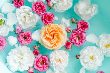 Tenderness floral texture of colorful roses in water on blue background