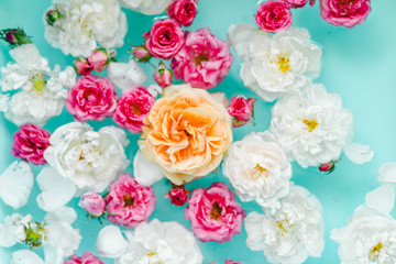 Tenderness floral texture of colorful roses in water on blue background