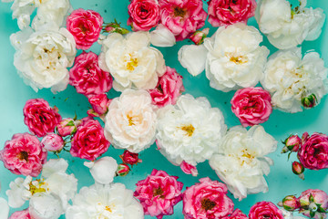Tenderness floral texture of colorful roses in water on blue background