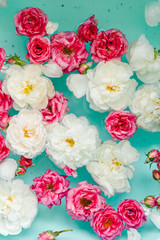 Tenderness floral texture of colorful roses in water on blue background