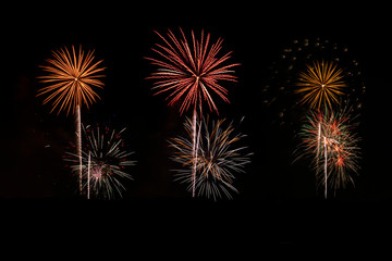 Fototapeta na wymiar Colorful Fireworks Exploding in the Dark Night Sky 13