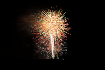 Obraz premium Colorful Fireworks Exploding in the Dark Night Sky 75