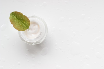 cream,  vitamins, medicine, beauty, mint, lime, leaf, green, isolated, fresh, lemon, herb, plant, fruit, white, food, citrus, drink, mojito, peppermint, ingredient, leaves, healthy, closeup