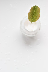 cream,  vitamins, medicine, beauty, mint, lime, leaf, green, isolated, fresh, lemon, herb, plant, fruit, white, food, citrus, drink, mojito, peppermint, ingredient, leaves, healthy, closeup