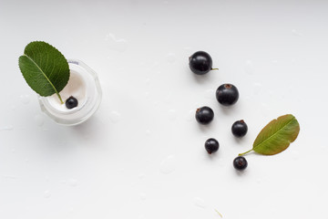 cream, blackberry, vitamins, medicine, beauty, mint, lime, leaf, green, isolated, fresh, lemon, herb, plant, fruit, white, food, citrus, drink, mojito, peppermint, ingredient, leaves, healthy, closeup