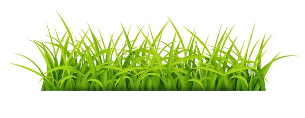 Fototapeta premium Sign with text space of Young Grass. Suitable for nature concept, spring, and summer holiday. Vector Illustration