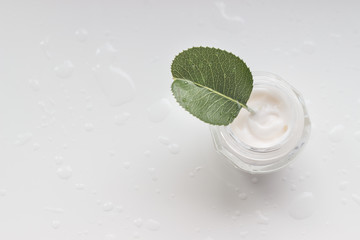 cream,  vitamins, medicine, beauty, mint, lime, leaf, green, isolated, fresh, lemon, herb, plant, fruit, white, food, citrus, drink, mojito, peppermint, ingredient, leaves, healthy, closeup