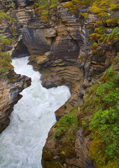 Waterfall surrounded by nature and wildlife. Rocky mountain ( Canadian Rockies ), Athabasca Falls. Portrait, fine art. Near Jasper, Yoho and Banff National Park. Alberta, Canada: August 4, 2018
