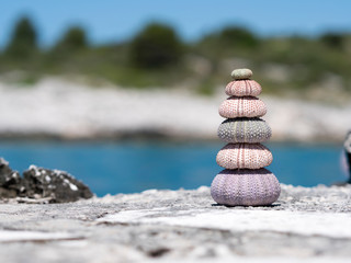 urchin stack with nice ocean and beach at the background
