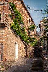 Fototapeta na wymiar Tuscany. Entrance to the ancient village of Montemerano. Ancient stone and brick building with a wisteria plant all along the wall. Alley that passes under a stone arch.