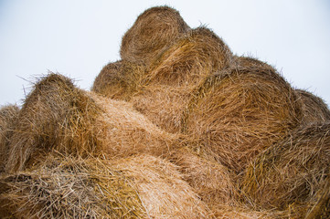 Storage with piles of stacks of hay