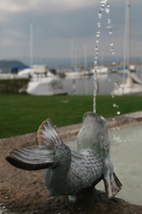 fishing fontane
