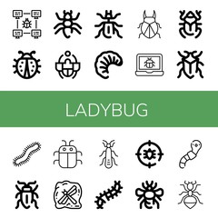 Set of ladybug icons such as Bug, Ladybug, Ant, Beetle, Larva, Centipede, Sap beetle, Insect, Stonefly, Scolopendra, Anti bug, Bumblebee, Worm , ladybug
