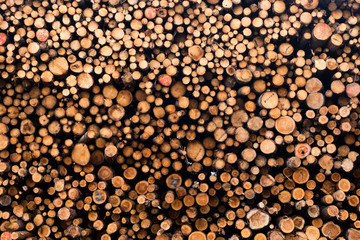 Timber