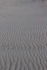 Sandwellen