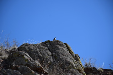 Near the Uybat river.Khakassia.