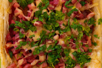 Homemade pizza on a plate close-up, sausage sprinkled with cheese and herbs