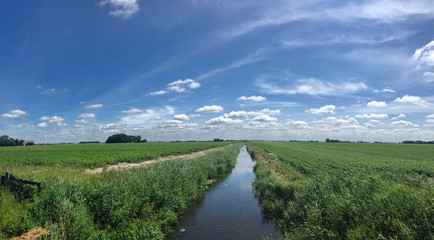Farmland panorama