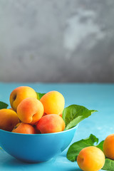 Fresh sweet orange apricots in blue bowl