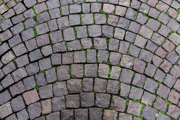 cobblestone floor of a French city
