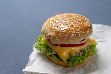 Burger with beef patty, salad, a slice of tomato and cheese, onions and sauce with paprika in a grilled bun with sesame