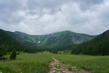 Szlak górski na Hali Kondratowej