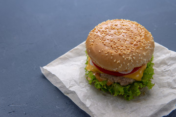 Burger with beef patty, salad, a slice of tomato and cheese, onions and sauce with paprika in a grilled bun with sesame