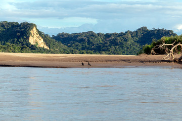 Sunset at Beni river cliffs, adventure in jungles of Madidi national park, Amazon river basin in Bolivia, South America