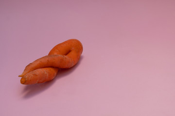 Strange twisted ugly carrot on pink background with copy space