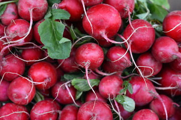 Bunch of red radishes in the market. Full frame of red radish. Food concept baner, poster.