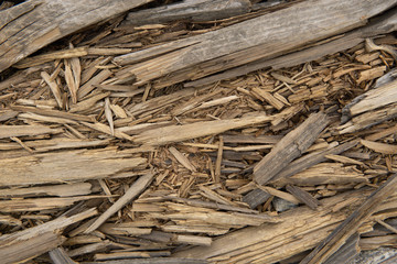 Texture of old wooden board