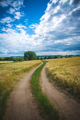 Fototapeta na wymiar Countryside road through fields with wheat
