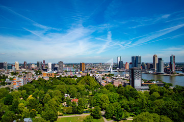 Fototapeta na wymiar Scenic view of Rotterdam, River Maas and Erasmus Bridge, the Netherlands