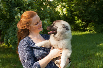 Beautiful young red-haired woman holding a keeshond / Wolfspitz puppy. Joy and happiness on her face. Early summer evening. Sun flare through foliage