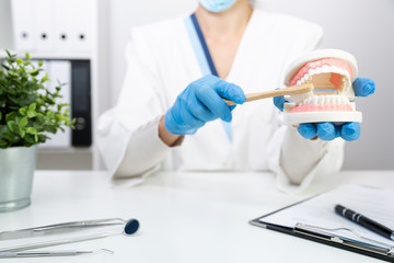 Female dentist explain about brushing teeth in clinic, holding tooth brush and teeth model. Dental hygiene and health with expert concept