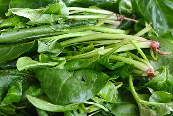 Fototapeta premium Fresh organic chard on the market. Green chard leaves on the market.