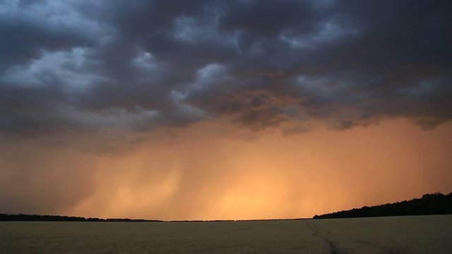 Storm clouds and lightning in the sunset sky over a field of wheat. Evening landscape