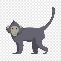 Capuchin icon. Cartoon illustration of capuchin vector icon for web